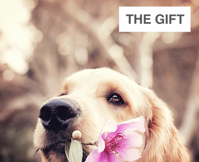 The Gift | The Gift| MusicSpoke