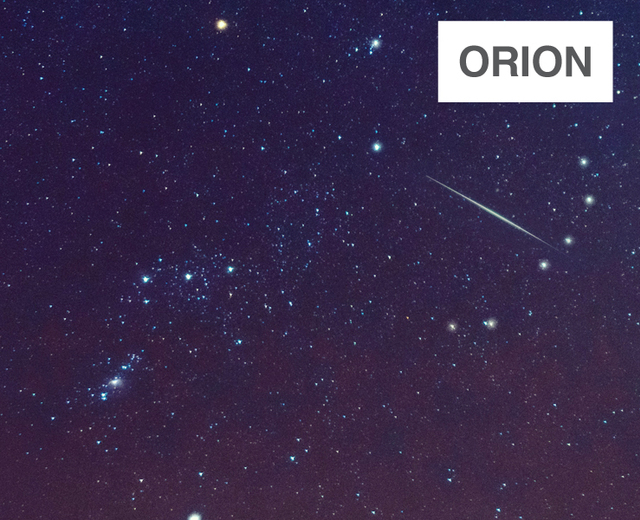 Orion | Orion| MusicSpoke
