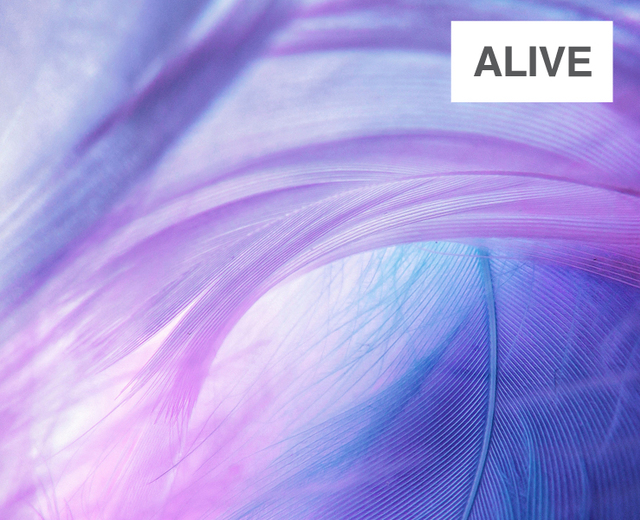Alive | Alive| MusicSpoke