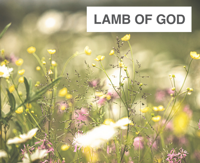 Lamb of God Pure and Holy | Lamb of God Pure and Holy| MusicSpoke