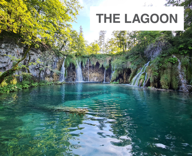 The Lagoon | The Lagoon| MusicSpoke