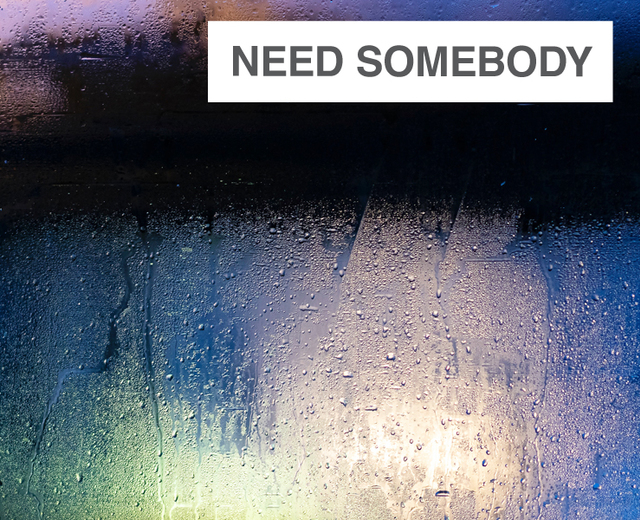 Need Somebody | Need Somebody| MusicSpoke