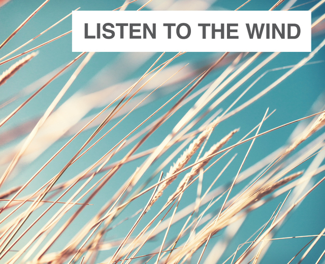 Listen to the Wind | Listen to the Wind| MusicSpoke