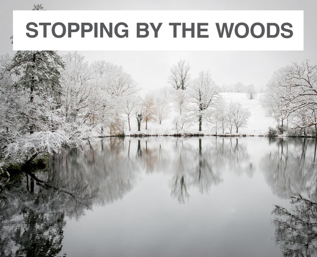 Stopping By The Woods On A Snowy Evening | Stopping By The Woods On A Snowy Evening| MusicSpoke
