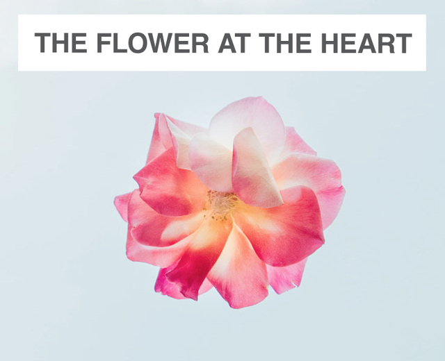 The Flower at the Heart of Me | The Flower at the Heart of Me| MusicSpoke