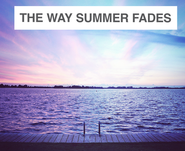 The Way Summer Fades | The Way Summer Fades| MusicSpoke