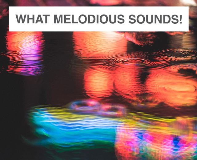 What Melodious Sounds! | What Melodious Sounds!| MusicSpoke