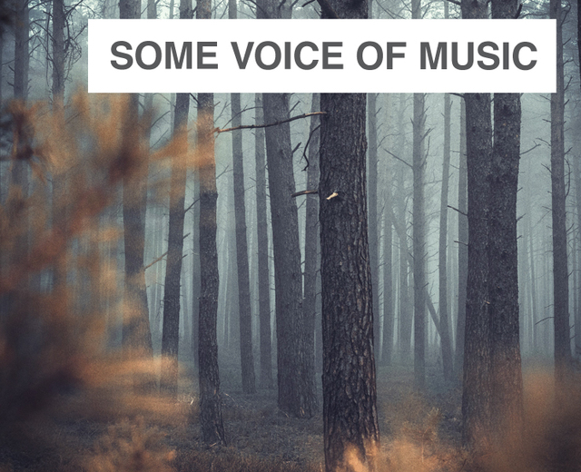 Some Voice of Music | Some Voice of Music| MusicSpoke