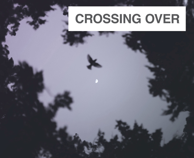 crossing over | crossing over| MusicSpoke