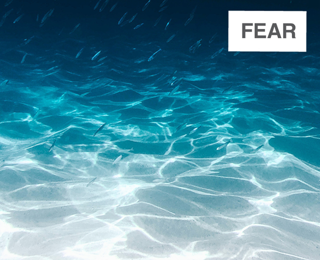 Fear (Becoming the Ocean) | Fear (Becoming the Ocean)| MusicSpoke