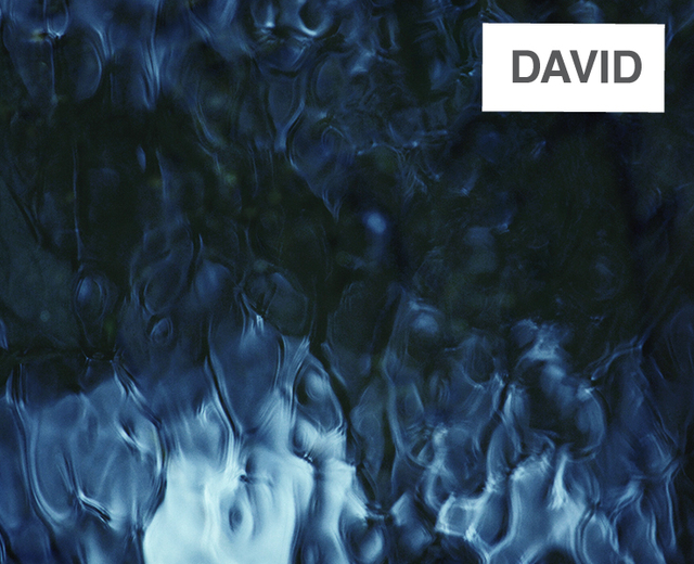 David | David| MusicSpoke