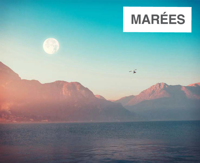 Marées  | Marées | MusicSpoke