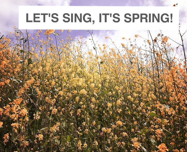 Let's sing, it's Spring! | Let's sing, it's Spring!| MusicSpoke