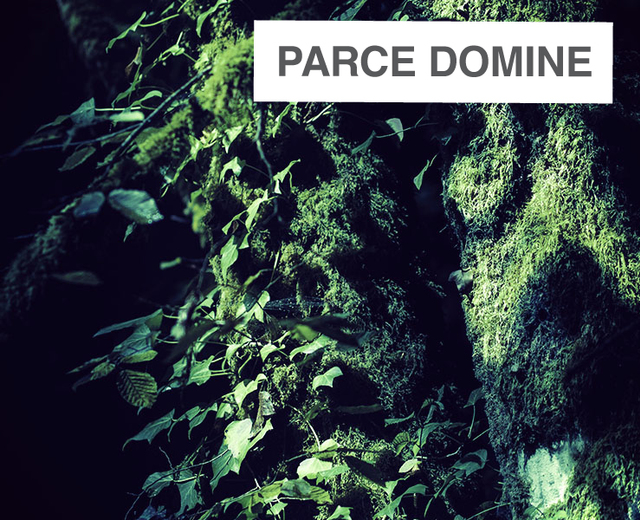 Parce Domine | Parce Domine| MusicSpoke