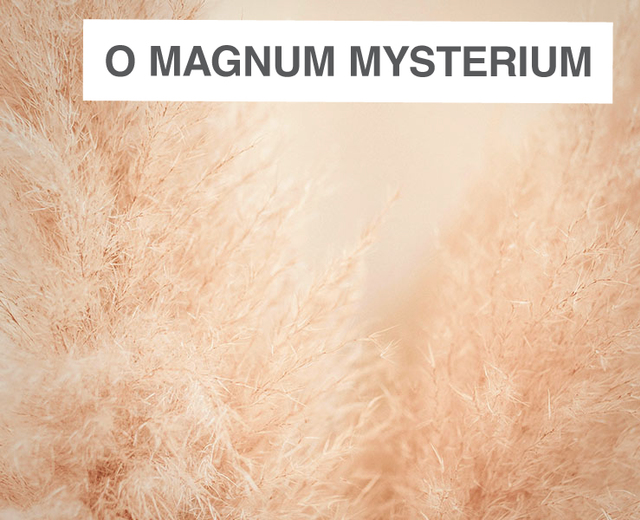 O Magnum Mysterium | O Magnum Mysterium| MusicSpoke