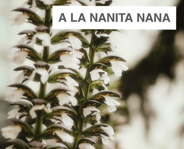A La Nanita Nana | A La Nanita Nana| MusicSpoke