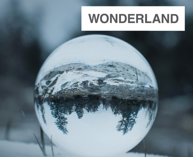 Puzzles from Wonderland | Puzzles from Wonderland| MusicSpoke