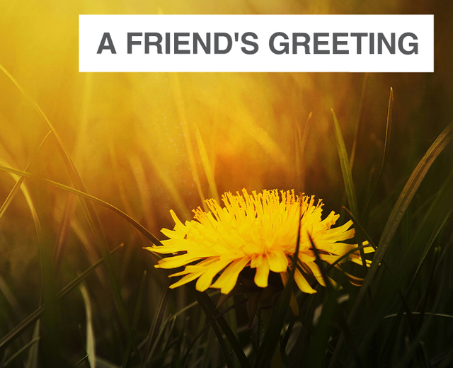 A Friend's Greeting  | A Friend's Greeting | MusicSpoke