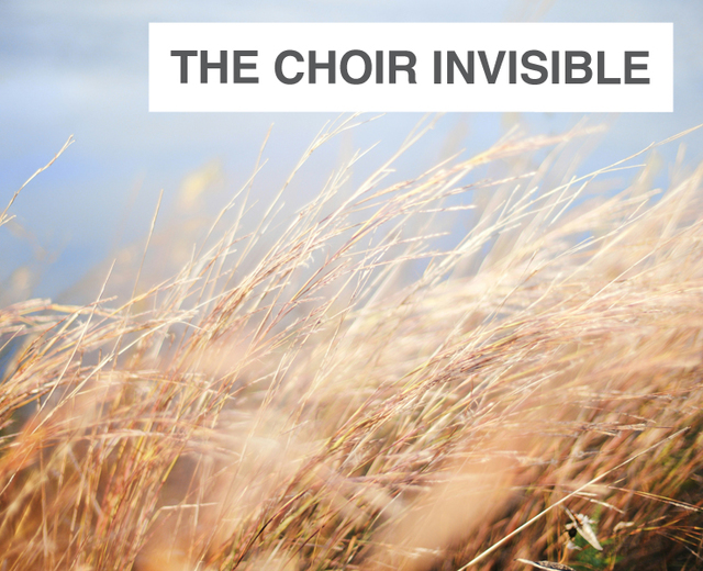 The Choir Invisible | The Choir Invisible| MusicSpoke