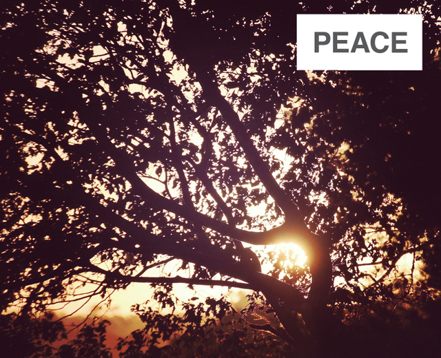 Peace | Peace| MusicSpoke