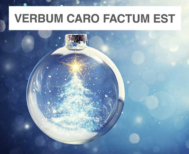 Verbum caro factum est | Verbum caro factum est| MusicSpoke