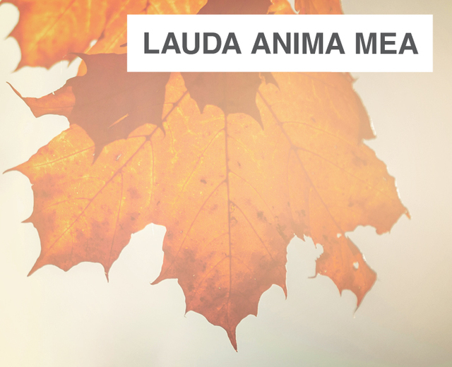 Lauda anima mea | Lauda anima mea| MusicSpoke