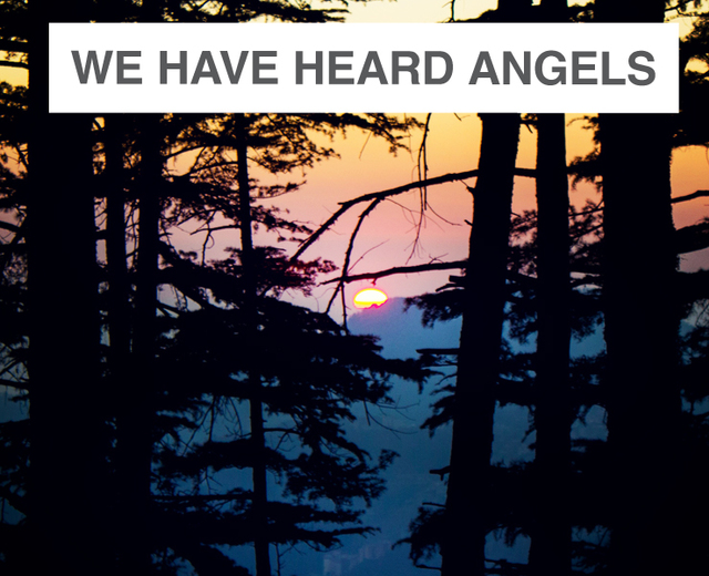 We Have Heard Angels | We Have Heard Angels| MusicSpoke