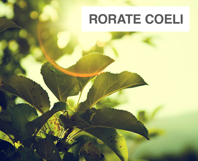 Rorate Coeli | Rorate Coeli| MusicSpoke