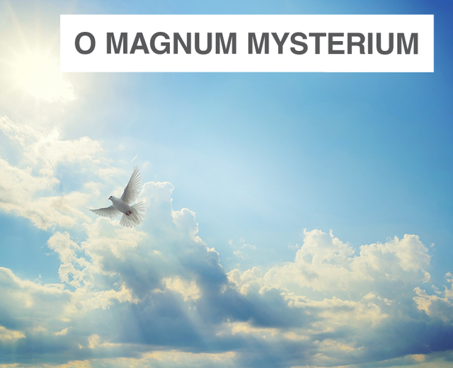 O Magnum Mysterium | O Magnum Mysterium| MusicSpoke