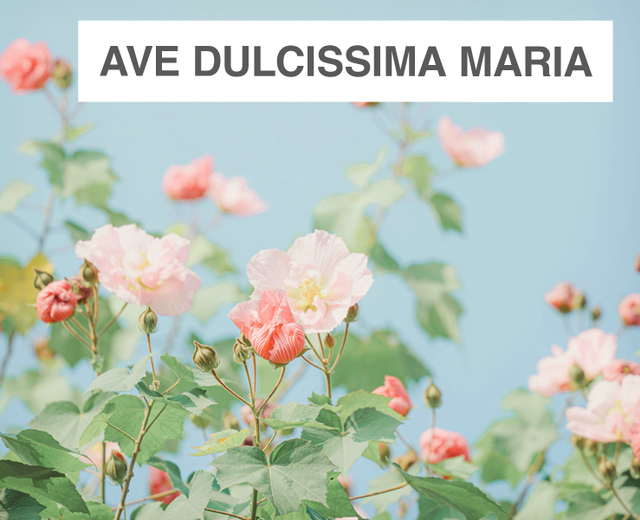 Ave dulcissima Maria | Ave dulcissima Maria| MusicSpoke