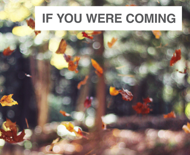 If You Were Coming in the Fall | If You Were Coming in the Fall| MusicSpoke