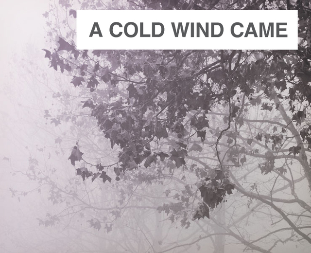 A Cold Wind Came | A Cold Wind Came| MusicSpoke