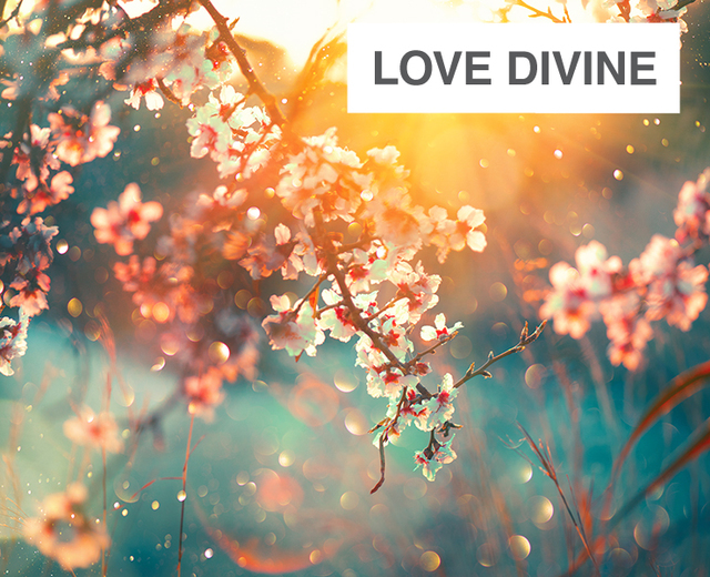 Love Divine, All Loves Excelling Final Stanza | Love Divine, All Loves Excelling Final Stanza| MusicSpoke