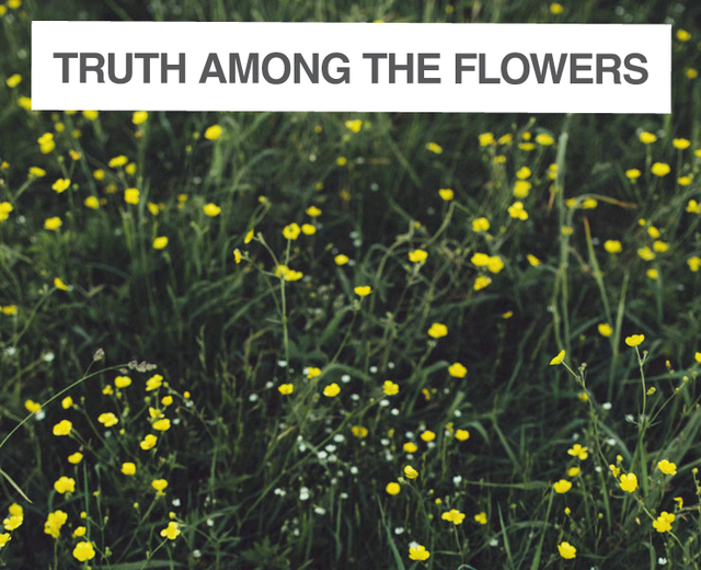 Truth among the flowers | Truth among the flowers| MusicSpoke