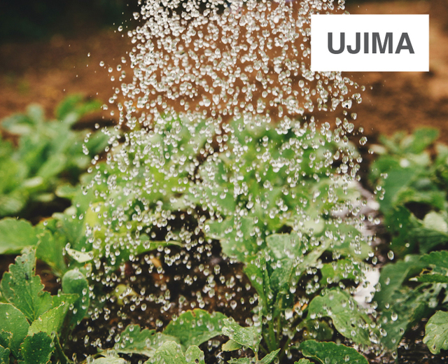 Ujima | Ujima| MusicSpoke