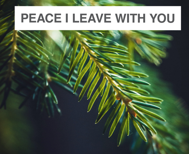 Peace I Leave With You | Peace I Leave With You| MusicSpoke