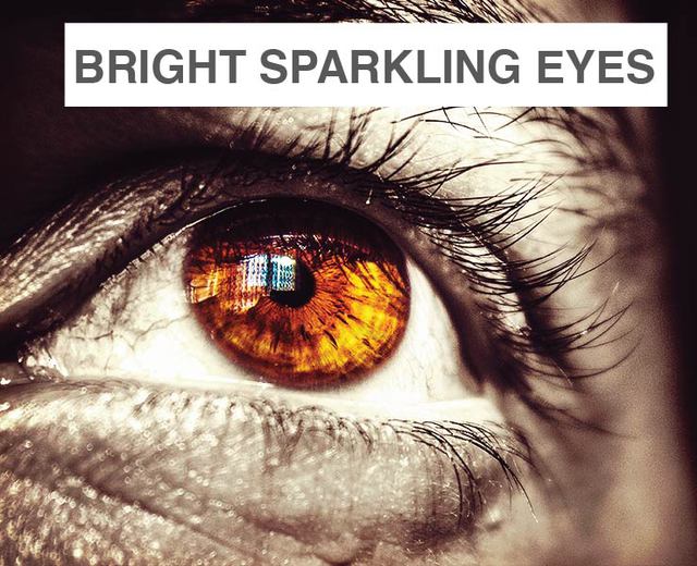 From Your Bright Sparkling Eyes, a Death Bed Adieu | From Your Bright Sparkling Eyes, a Death Bed Adieu| MusicSpoke