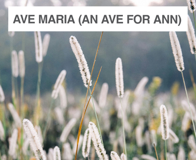 Ave Maria (An Ave for Ann) | Ave Maria (An Ave for Ann)| MusicSpoke