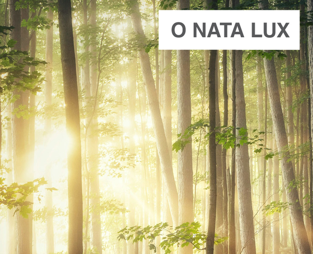 O nata lux | O nata lux| MusicSpoke