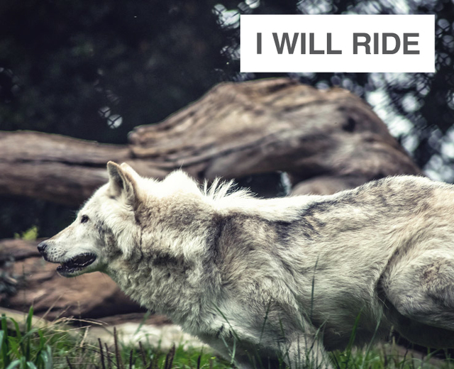 I Will Ride | I Will Ride| MusicSpoke