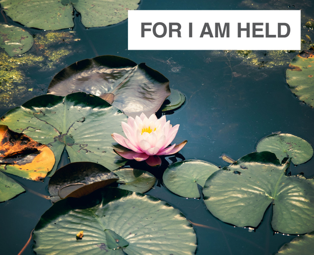 For I Am Held | For I Am Held| MusicSpoke