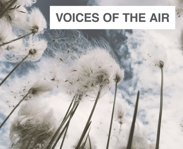 Voices of the Air | Voices of the Air| MusicSpoke