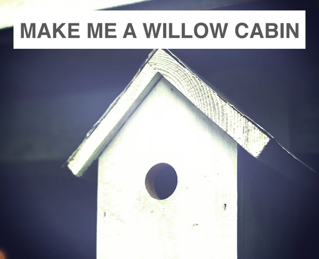 Make Me a Willow Cabin | Make Me a Willow Cabin| MusicSpoke