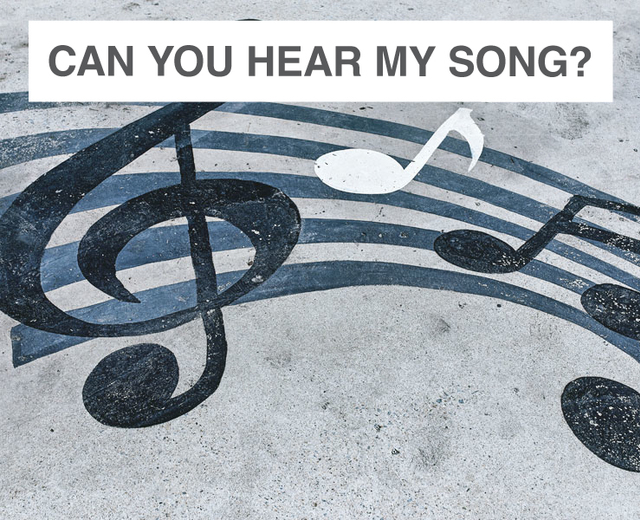 Can You Hear My Song? | Can You Hear My Song?| MusicSpoke