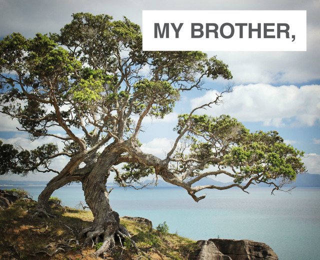 My Brother, | My Brother,| MusicSpoke