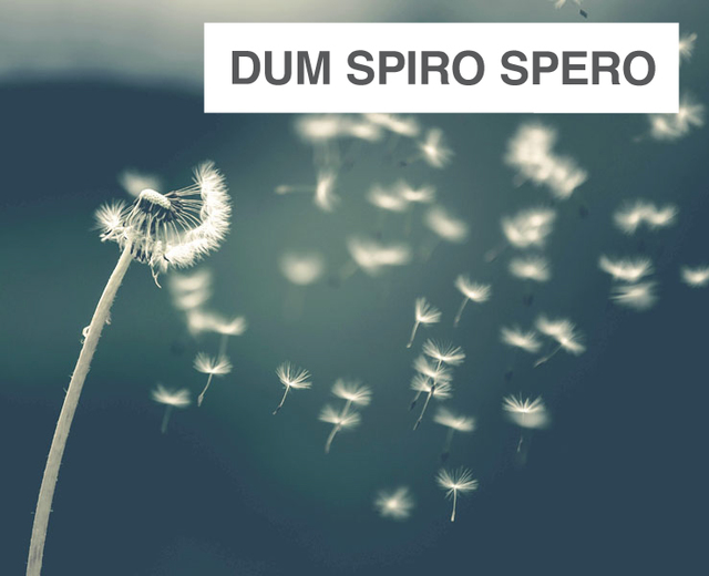 Dum Spiro Spero | Dum Spiro Spero| MusicSpoke