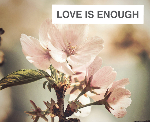 Love Is Enough | Love Is Enough| MusicSpoke