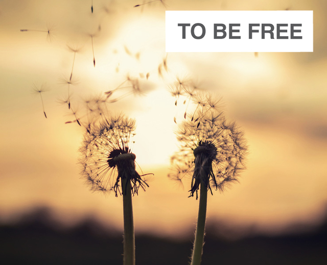 To Be Free | To Be Free| MusicSpoke