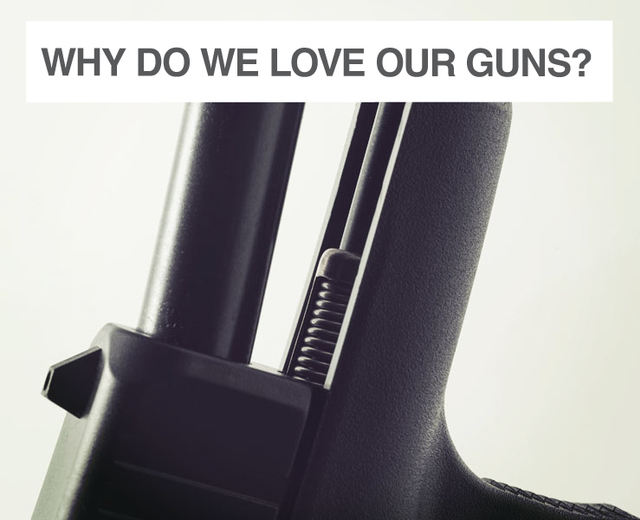 Why Do We Love Our Guns | Why Do We Love Our Guns| MusicSpoke