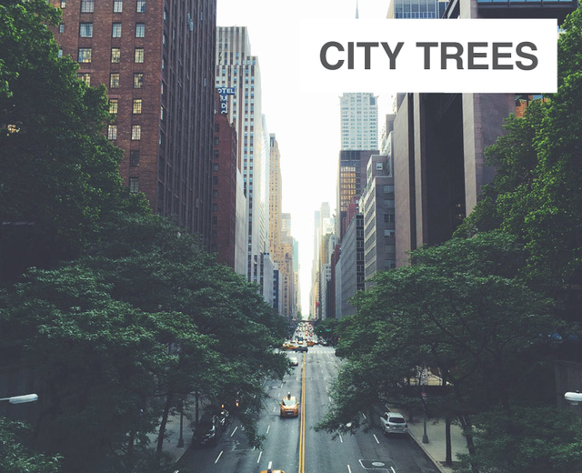 City Trees | City Trees| MusicSpoke